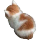 8_cat_sit emote