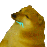 british91 emote