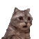 O_ Emote