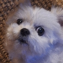 f_Woah Emote