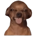 tonguedog Emote