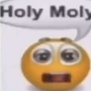 holymoly Emote