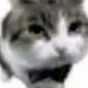 nohacenada emote