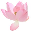 008_pinkflowers emote