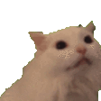 Car emote