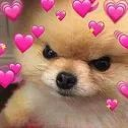 butterfliesinheart Emote