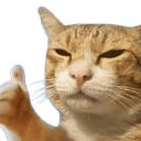 5426catliked emote