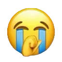 cry emote