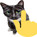 pointing_up_cat Emote