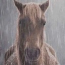 sadhorse emote