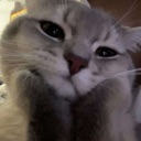 z_cute emote