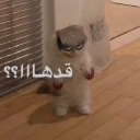 __ Emote