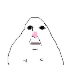 what_the_flip emote