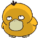 psyduck_3 emote