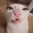 luna emote