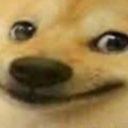 doge emote