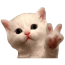 kittenpeace emote