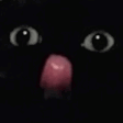 BLELELE Emote