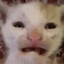 Horrified Emote