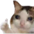 ok emote