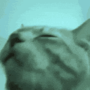 emoji_121 emote