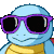 hp_squirtle_cool emote