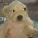 emoji_40 Emote