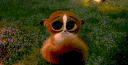emoji_163 Emote