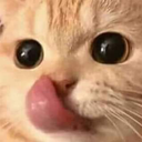 CatLick2 Emote