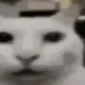 silicat emote