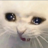 durka_new_47 emote
