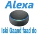 Alexa Emote