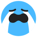 002_tiktokrry Emote