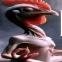 AOHMMMMMMM Emote