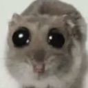 hampter emote