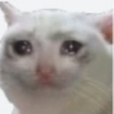 emoji_13 emote