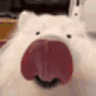 LICKA emote
