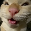 muhehe Emote