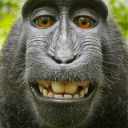 Funnymonekey emote