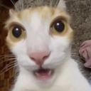 huhhhh emote