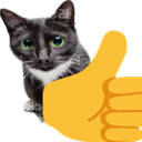 thumbs_up_cat emote