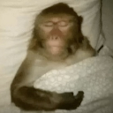 emoji_43 Emote