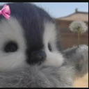emoji_77 emote