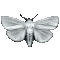 WHITEFLY Emote