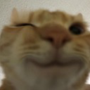 CatWink emote