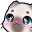 cat_boop Emote