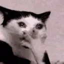 gasp Emote