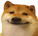 dog_smile emote