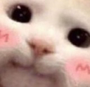 cute emote