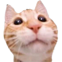 huh Emote